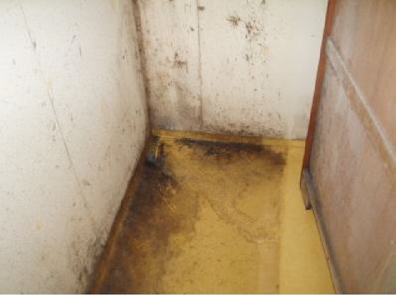 상세보기