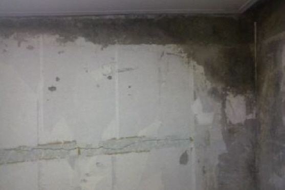 상세보기