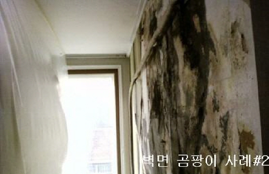 상세보기