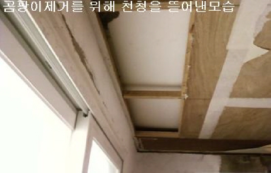 상세보기