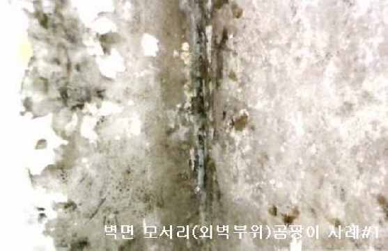 상세보기